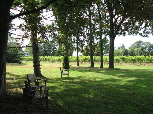 Vineyard 3* Niagara-on-the-Lake